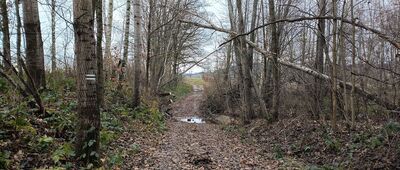 Polana Kucharskiego ↔ Rozdroże pod Trzebiną