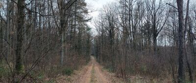 Dębowiec, kamień graniczny ↔ Dębowiec
