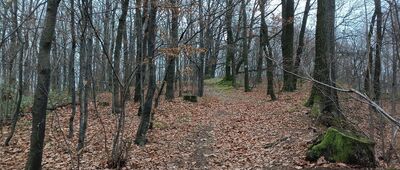 Rozejście szlaków ↔ Dębowiec, kamień graniczny