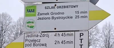 Zagórze Śląskie, ul. Główna