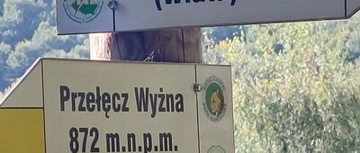 Przełęcz Wyżna ↔ Dział