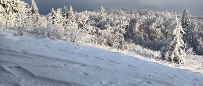 Polana Kudów