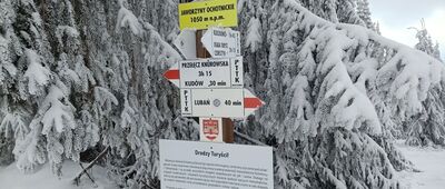 Jaworzyny Ochotnickie