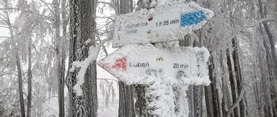 Skrzyżowanie pod Lubaniem