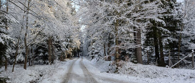 Trzy Jawory ↔ Jagniątków, ul. Michałowicka