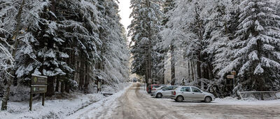 Trzy Jawory ↔ Jagniątków, ul. Michałowicka