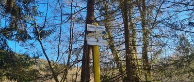 Jaworzynka, TPG Słowacja