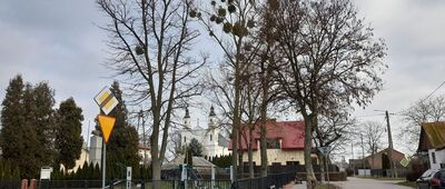 Biskupice [Biskupice]