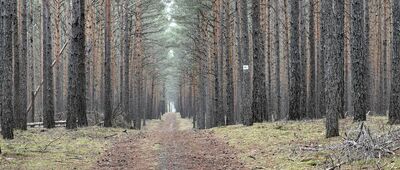 Rozejście szlaków ↔ Zatonie