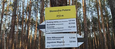 Słoneczna Polana