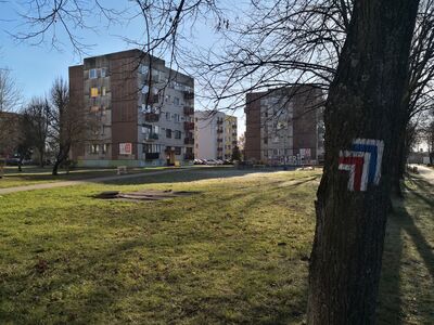 Zawiercie, zejście z Dmowskiego
