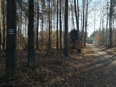 Przejście pod nową obwodnicą