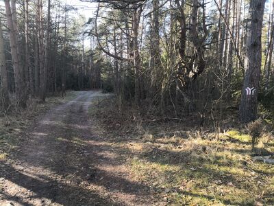 Rozejście szlaków