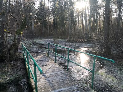 Mostek nad Potokiem Ogrodzienieckim