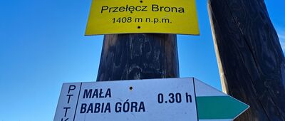 Przełęcz Brona