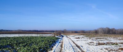 Rozejście szlaków ↔ Rąblów, ścieżka dydaktyczna