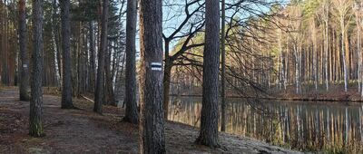 Czerwieńsk, przepławka