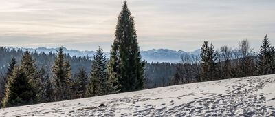 Schronisko PTTK Stare Wierchy ↔ Polana Pudziska