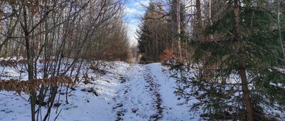 Długota ↔ Wieszczyna, rozejście szlaków