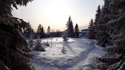 Czoło Turbacza 1259 m n.p.m.