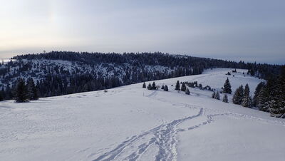 Hala Turbacz
