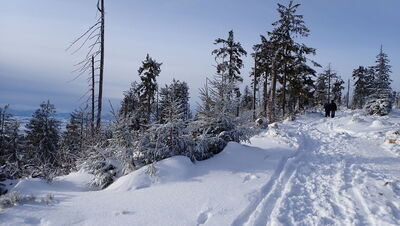 Podejście na Turbacz od schroniska