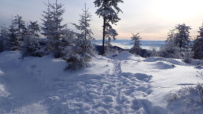 Podejście na Turbacz spod schroniska