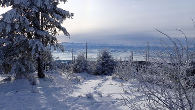 Widok na Tatry z Turbacza