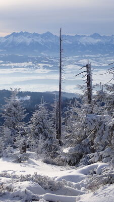 Tatry Wysokie z Turbacza