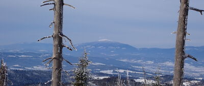 Turbacz [Babia Góra z Turbacza]