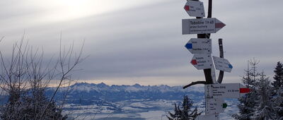 Schronisko PTTK Turbacz [Widok na Tatry ze schroniska pod Turbaczem]