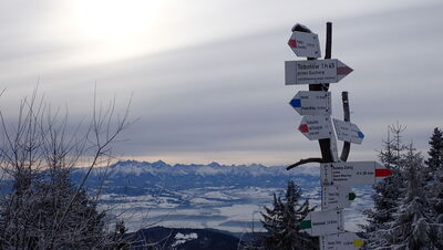 Widok na Tatry ze schroniska pod Turbaczem