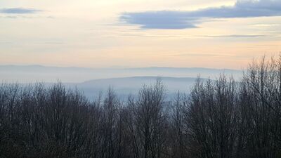 Widok na Tatry (na horyzoncie)