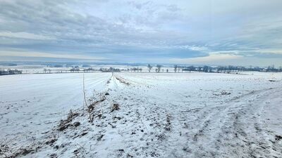 Pola uprawne pod Kajasówką