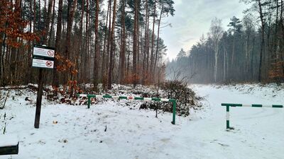 Parking leśny przy rezerwacie Kajasówka