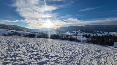 Widok w kierunku wierzy widokowej na Gorcu