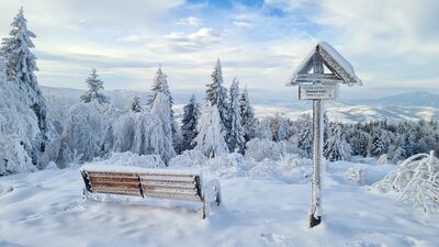 Polana Łąki 1000 m n.p.m.