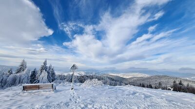Polana Łąki 1000 m n.p.m.