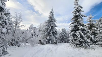 Skrzyżowanie szlaków na Jasieniu