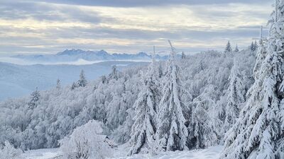 Tatry z Kutrzycy