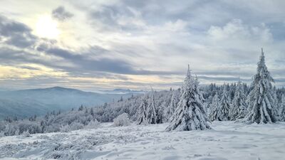 Gorc i Tatry z Kutrzycy