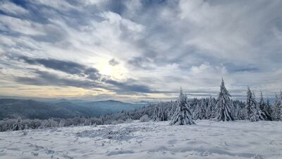 Panorama w kierunku Tatr z Kutrzycy