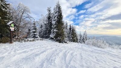 Kutrzyca 1054 m n.p.m.