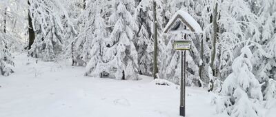 Przełęcz pod Małym Krzystonowem ↔ Pod Krzystonowem [Krzysztonów 1012 m n.p.m.]