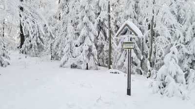 Krzysztonów 1012 m n.p.m.