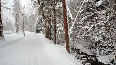 Zielony szlak Robów