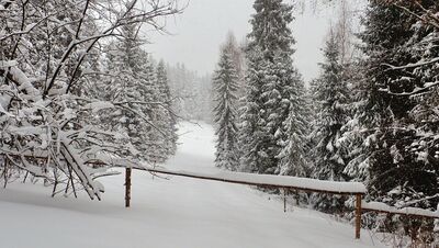 Widok na Polanę Bernadową z zielonego szlaku na Bukowinę Obidowską