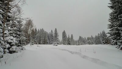 Polana pod Zbyrcokiem