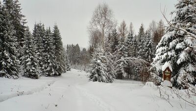 Polana pod Zbyrcokiem