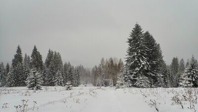 Polana pod Zbyrcokiem z widokiem na... Tatry :)